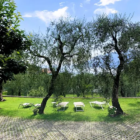 Appartement Camelia *