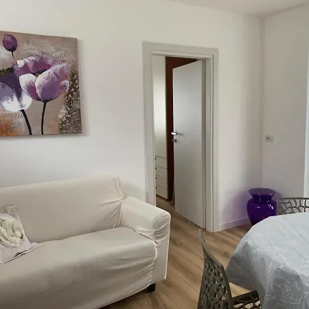 Camelia Apartment