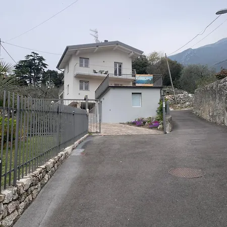 Camelia Malcesine
