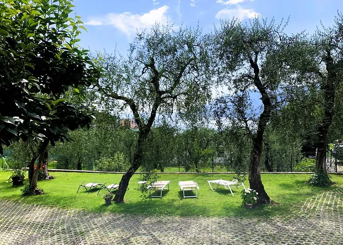 Apartament Camelia *